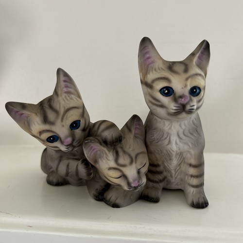 Striped gray tabby kittens - gray,